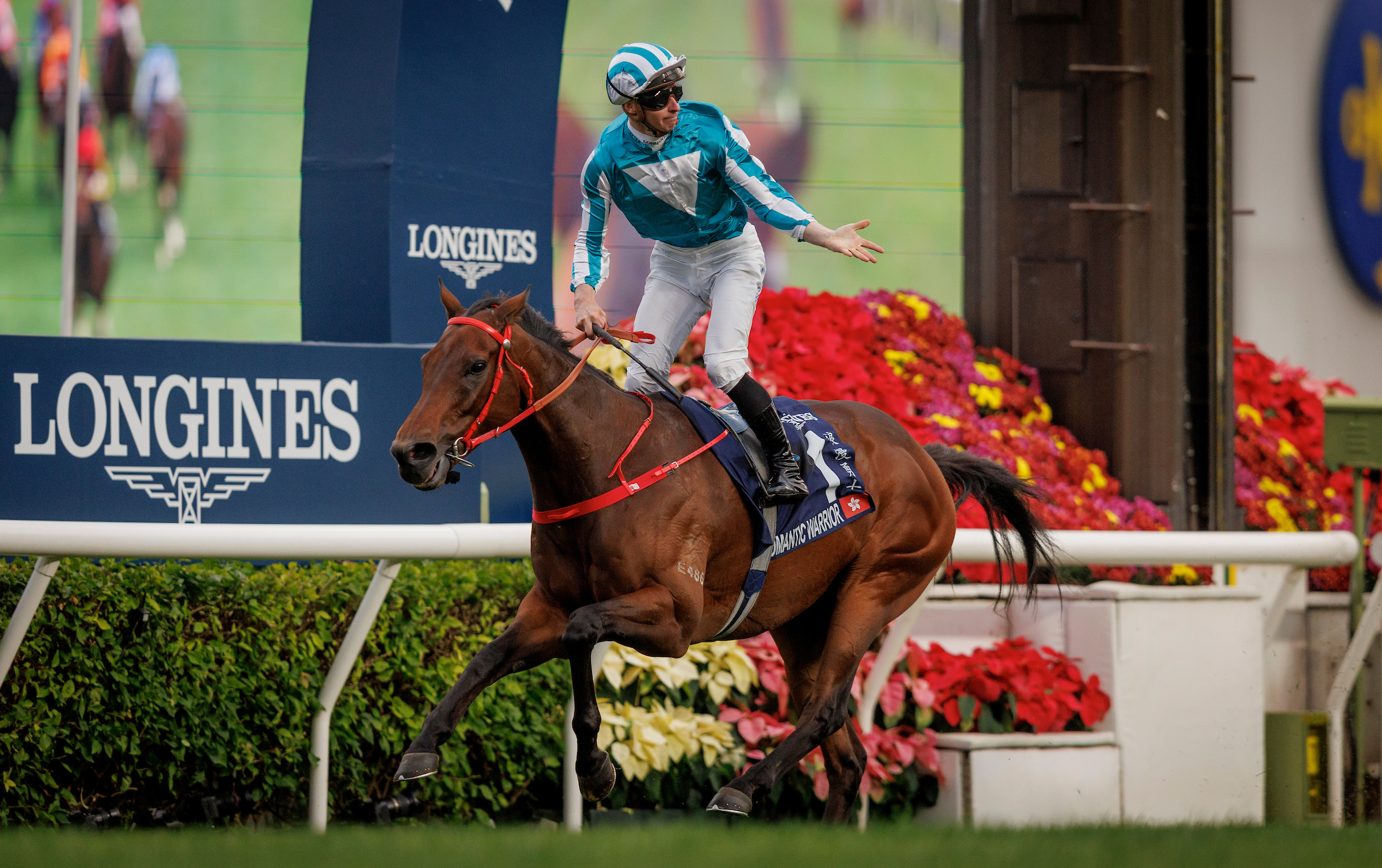 Hong Kong Cup